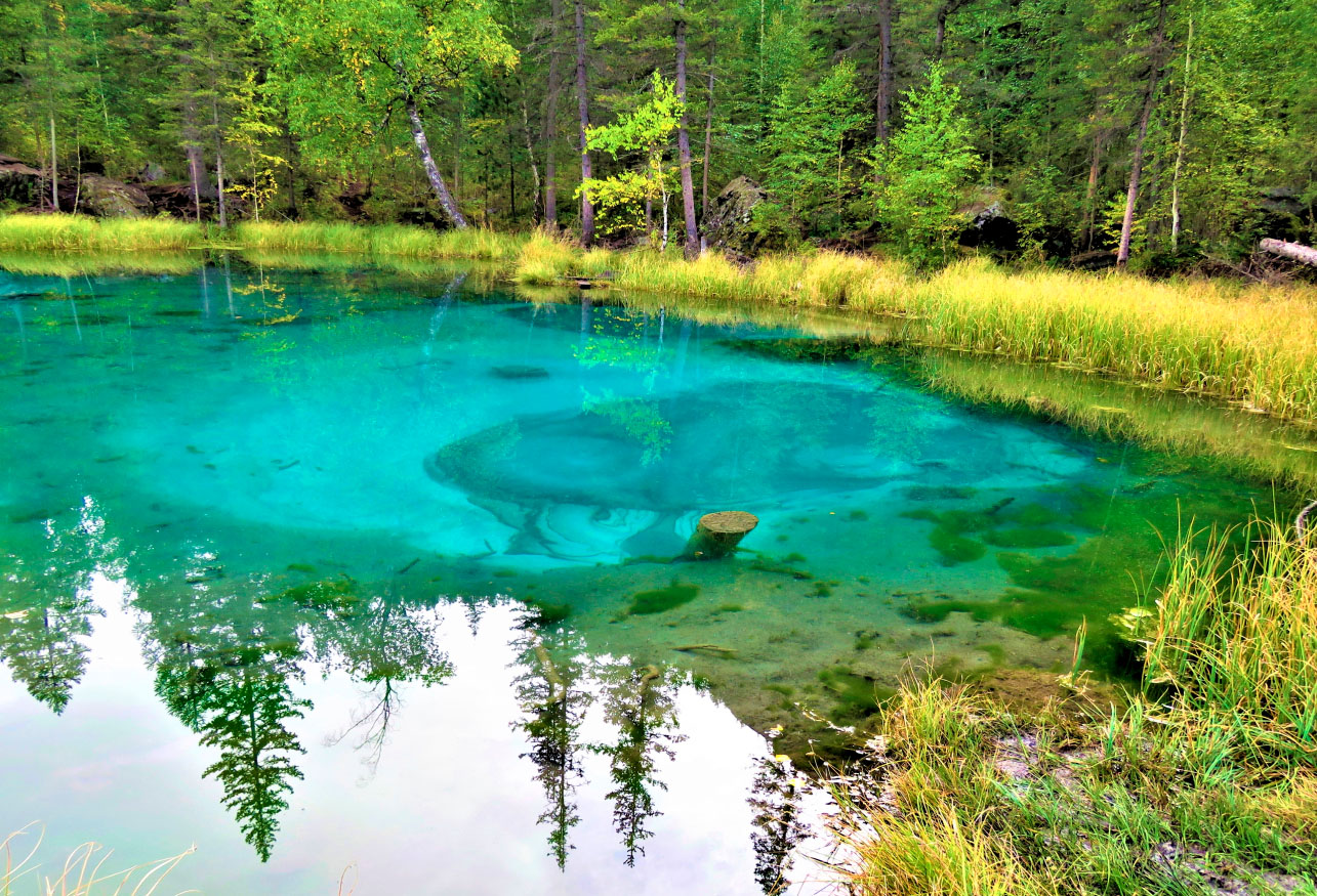 Дополнительные платные услуги