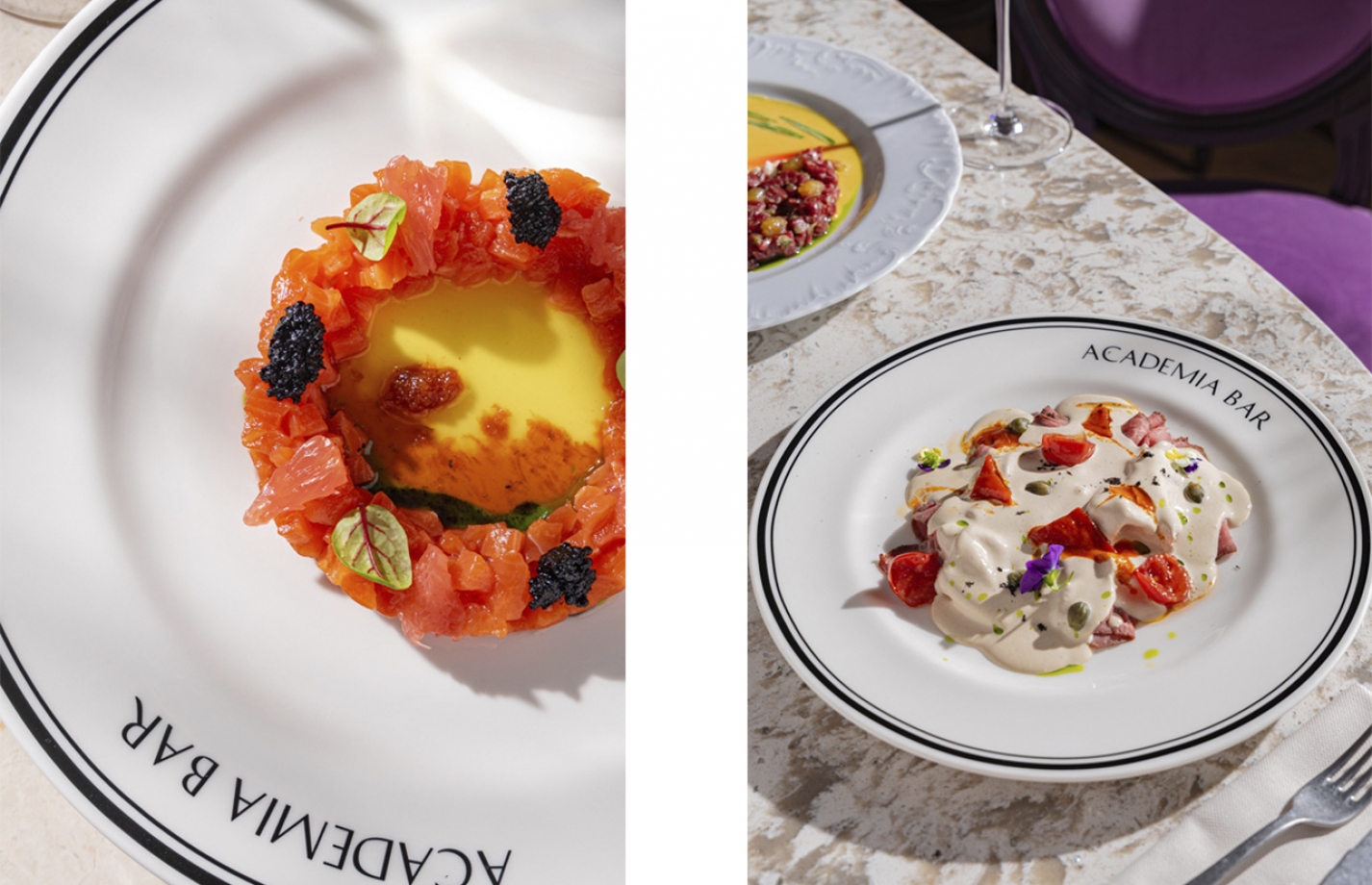 ACADEMIA BAR SHUVALOFF