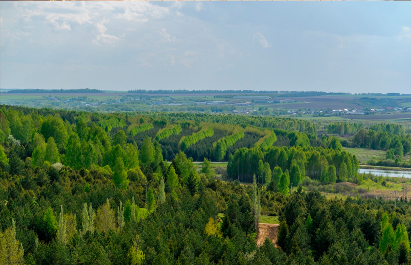 Социальная политика