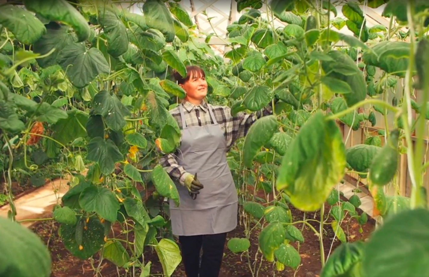 Социальная политика