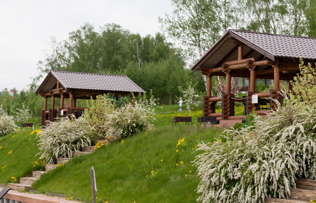 МАНГАЛЬНЫЕ ЗОНЫ 