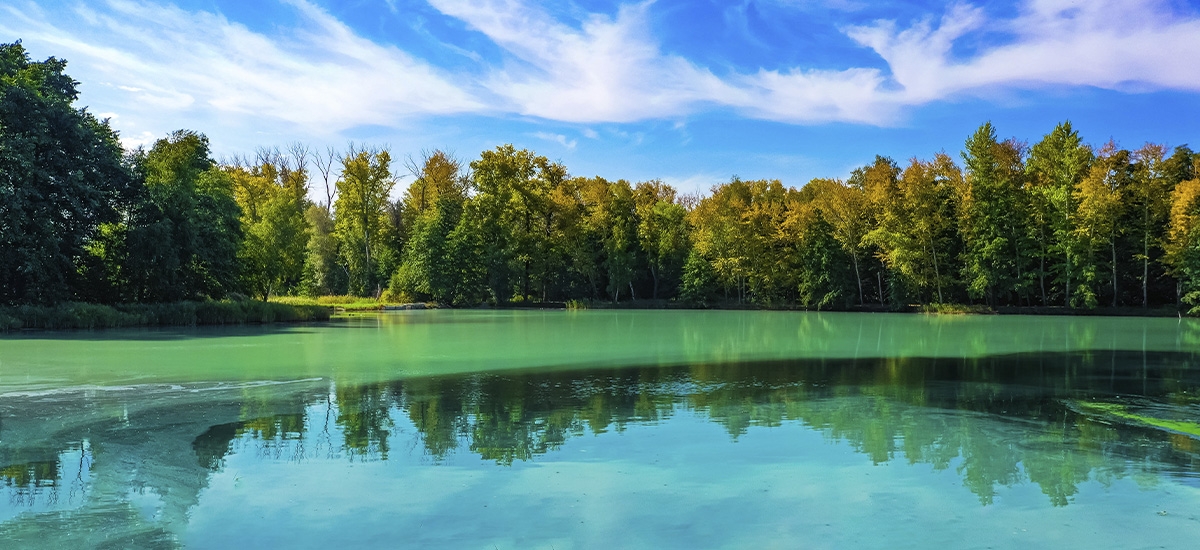 МРЦ «Сергиевские минеральные воды» 